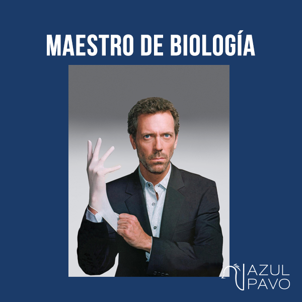 Presentan A Los Nuevos Maestros De México En Redes Sociales