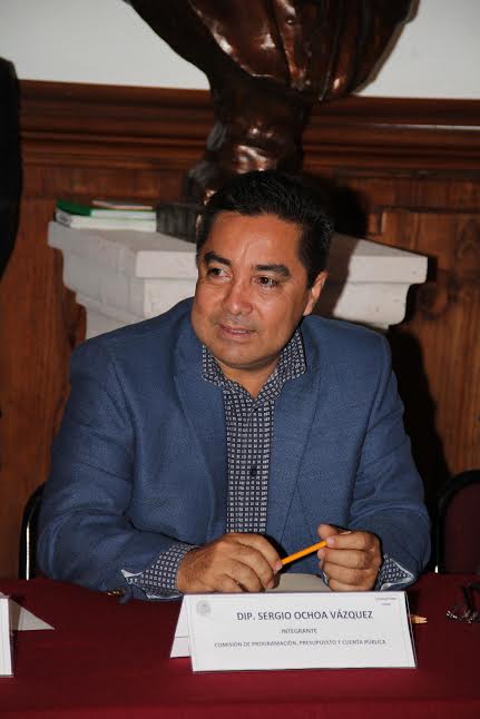 diputado sergio ochoa