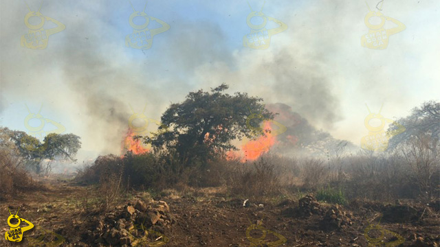 incendio-forestal-Morelia