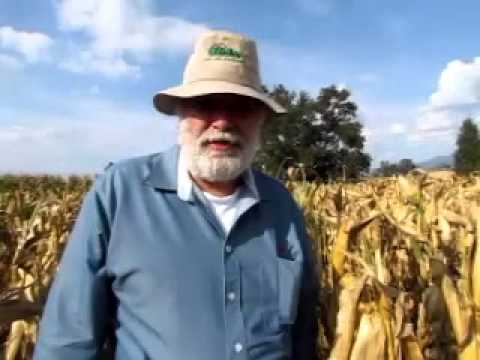 Gobierno De Peña Ignoró A Este Investigador Y Ahora Hace Crecer La ...