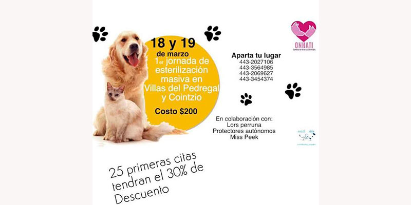 Chécate-La-Jornada-De-Esterilización-Masiva-Para-Perros-Y-Gatos