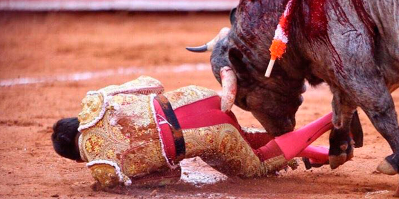 cornada-Antonio-Romero-Plaza-de-toros-México