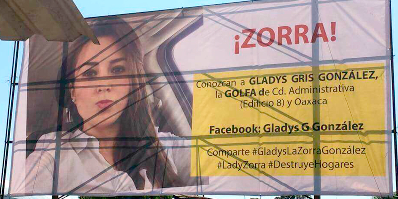 ladyzorra-Gladys-Gris-Gonzalez