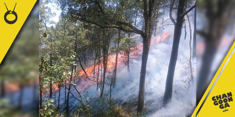 Militares-consumen-fuego-de-bosques-Michoacán
