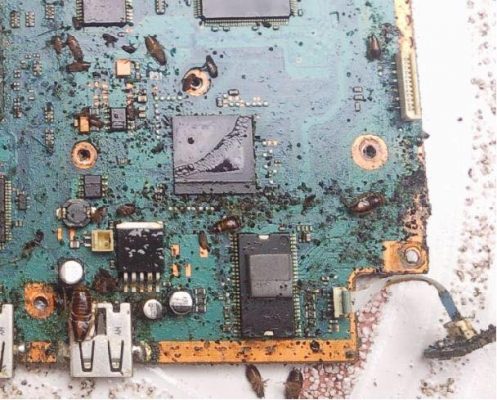cucarachas consolas de videojuegos