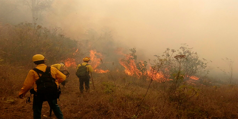 incendio-Zapien-Uruapan