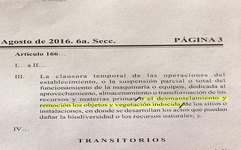 aguacate-hectáreas-Michoacán