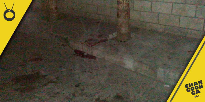 balacera-bar-sangre