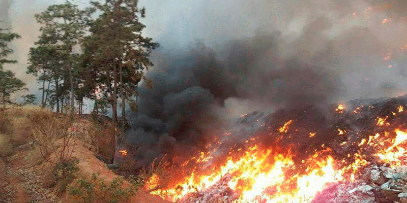 contingencia-ambiental-uruapan
