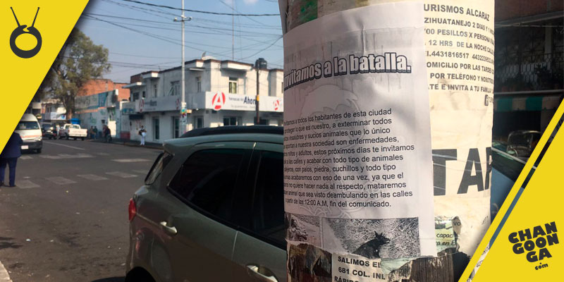 flyer-matanza-perros-Morelia-2