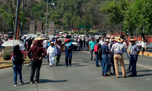 marcha-CNTE-calzada-Juarez-2