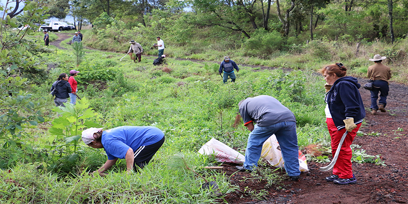reforestación-áreas-verdes-Uruapan-Michoacán