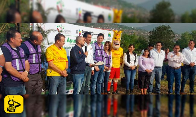 Reforestacion-con-el-Club-Monarcas-Morelia-2