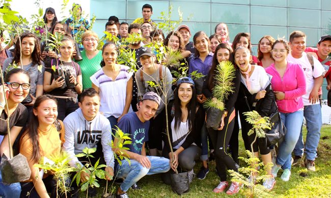 UMSNH-reforestacion-arquitectura