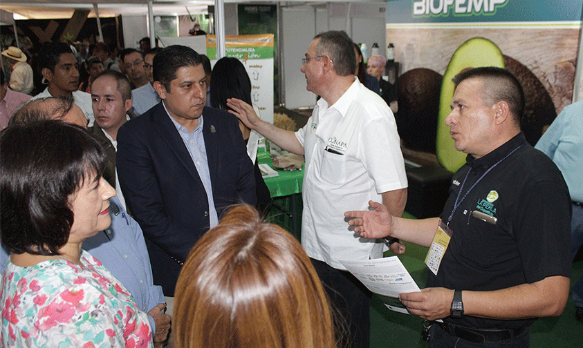 curso-nutrición-aguacate-Uruapan