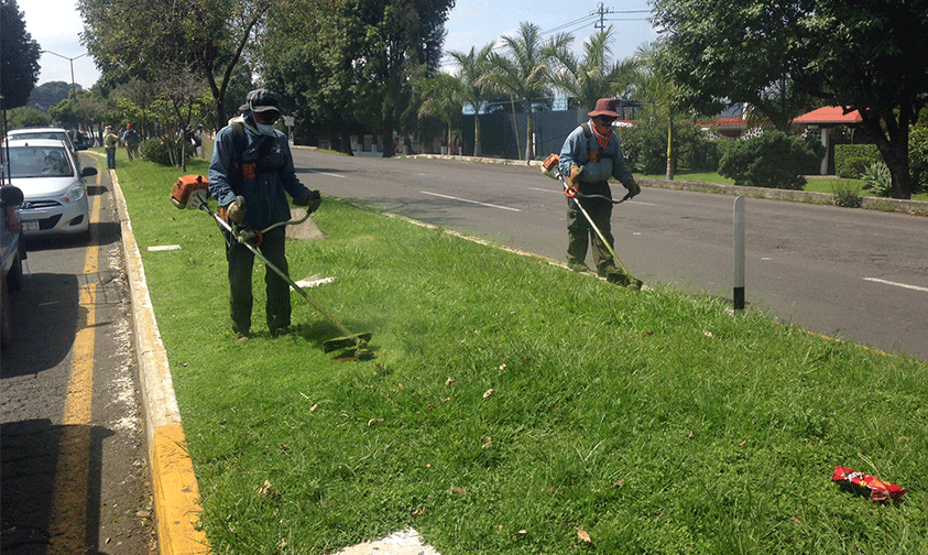 mantenimiento-áreas-verdes-Uruapan
