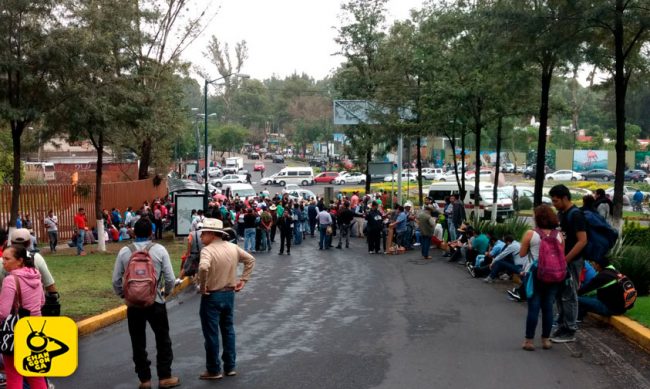 marcha-CNTE-calzada-Juarez-Camelinas