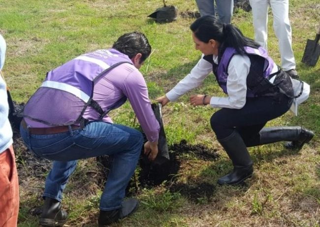 Alfonso Martinez reforestacion