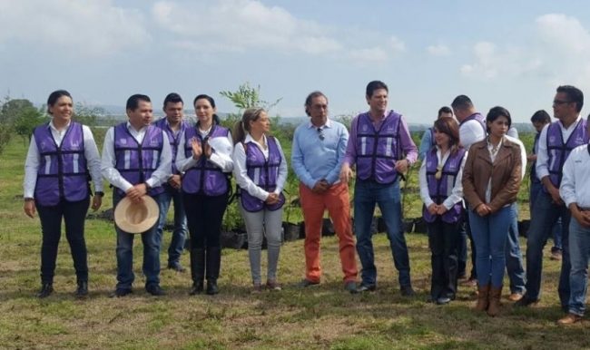 Reforestacion Morelia
