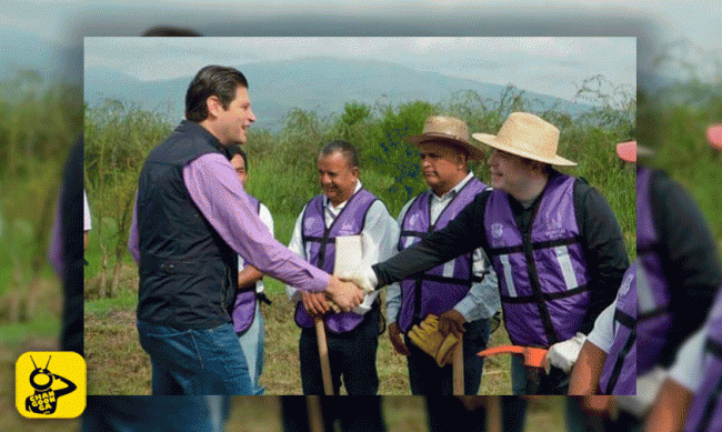 campaña-reforestacion-Morelia