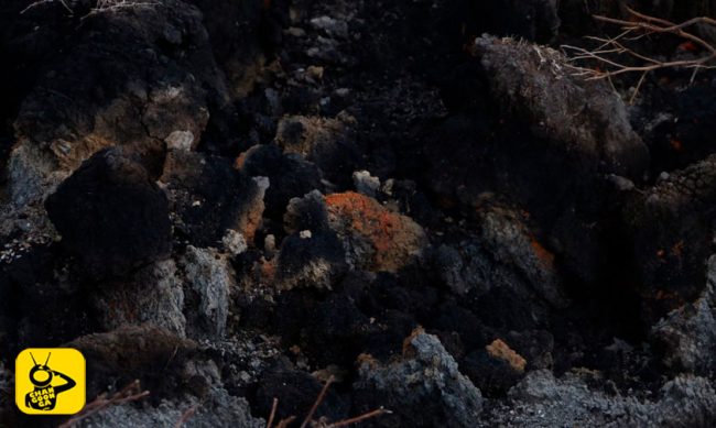 falla-geotermica-Venustiano-Carranza-5