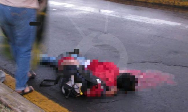 Zamora-atropellados