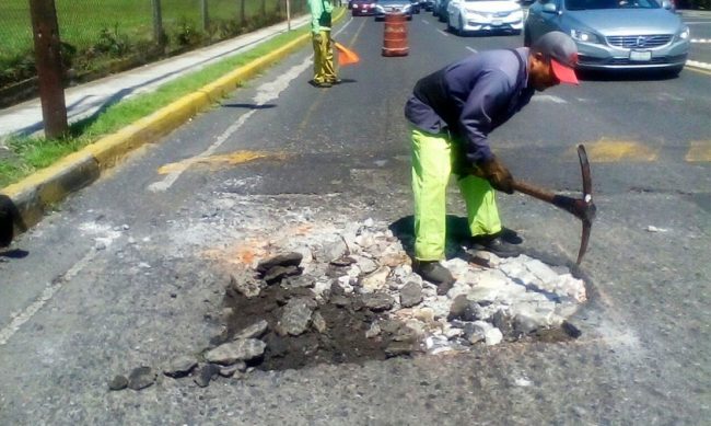 bacheo-Morelia