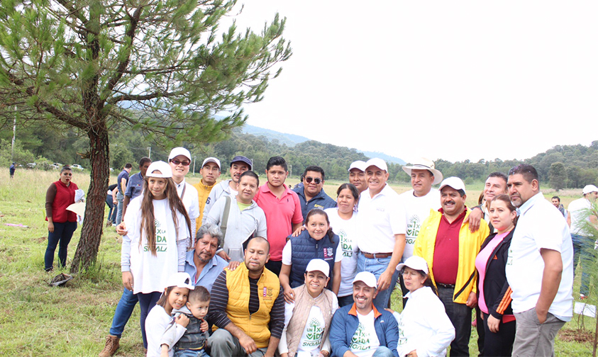 reforestación-Cuanajo-Michoacán-2017