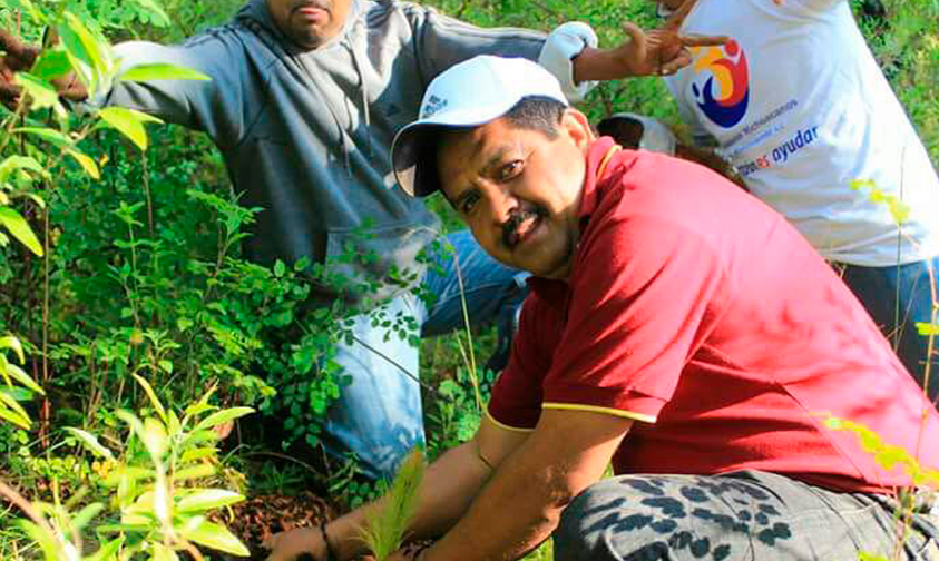 reforestación-Cuanajo-Michoacán-2017