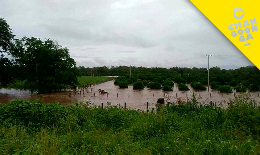 rescatan-familia-desborde-río-Tepalcatepec-Michoacán-1