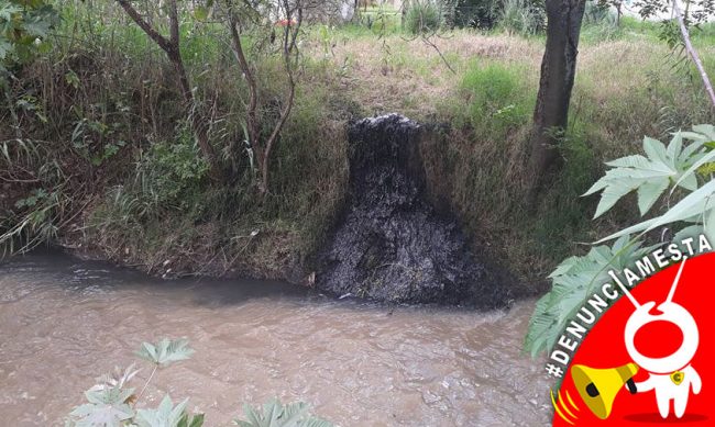 Denunciamesta-aceite-rio-Zinapecuaro-2