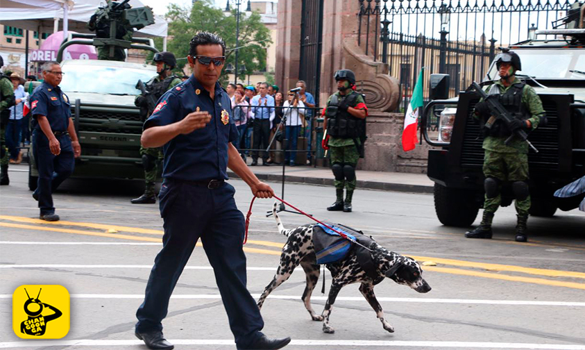 Logan-peludo-rescatista-sismo-Ciudad-de-México-desfile