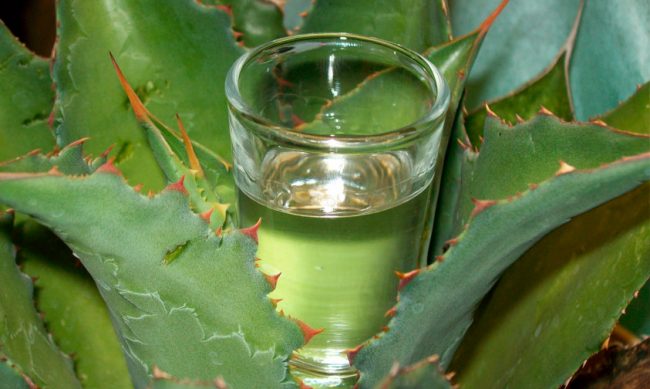 mezcal