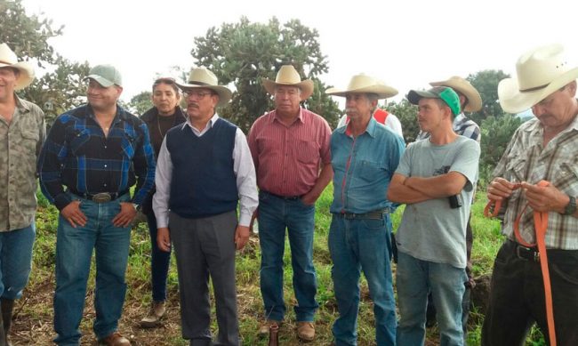 productores-maiz-Morelia