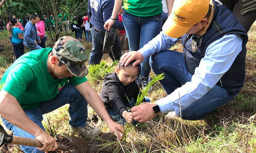 reforestación-Uruapan-2017