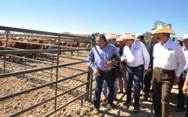 Cesar Duarte Ganado Chihuahua
