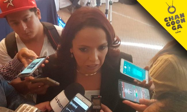 Diputada-Andrea-Villanueva