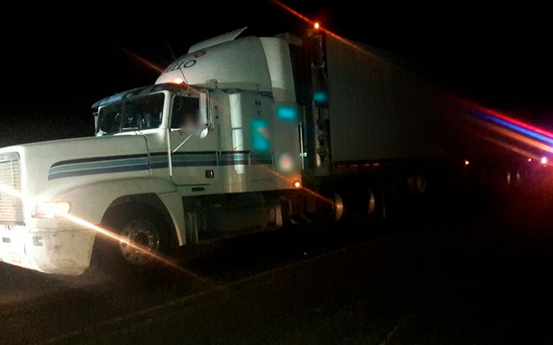 Tracto-Camión-Aguacate