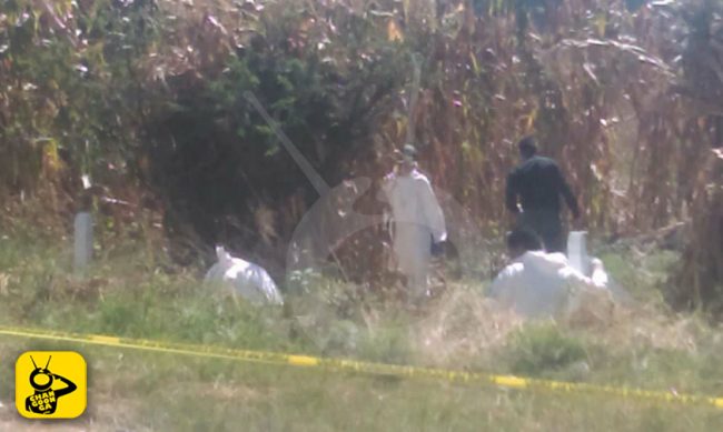 cadaver-milpa-Morelia