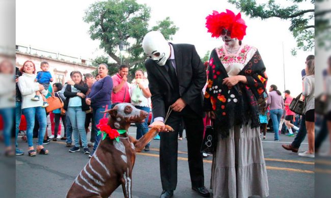 desfile-catrinas-mascotas-noche-de-muertos