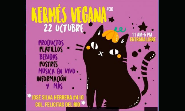 feria-adopción-perros-gatos-Morelia