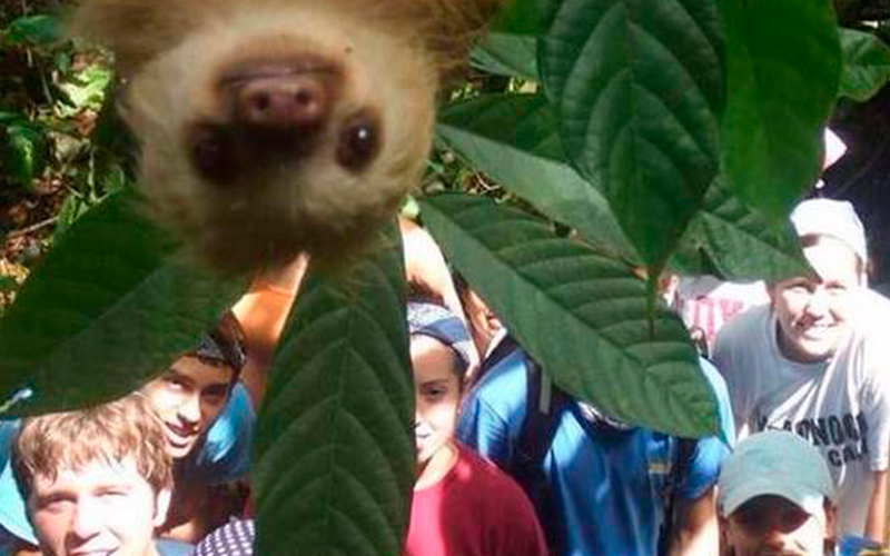 selfies-con-animales-es-crueldad