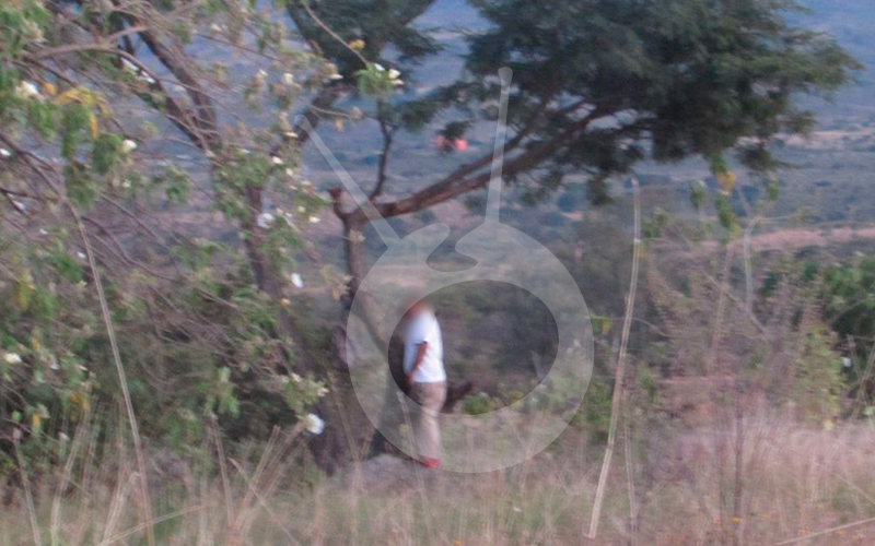 colgarse-árbol-señor-Jacona-Michoacán