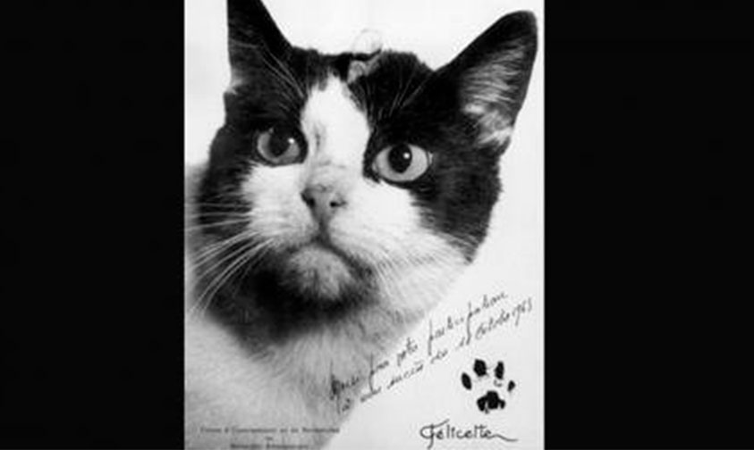 monumento-gato-viaje-espacial-París