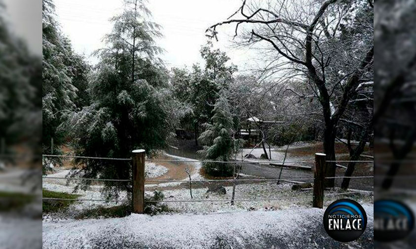 Chipinque-nieve