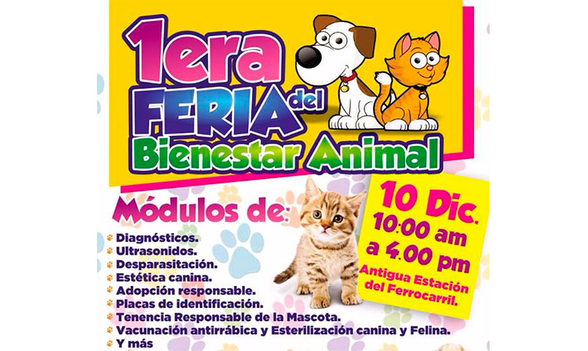 feria-bienestar-animal-Uruapan