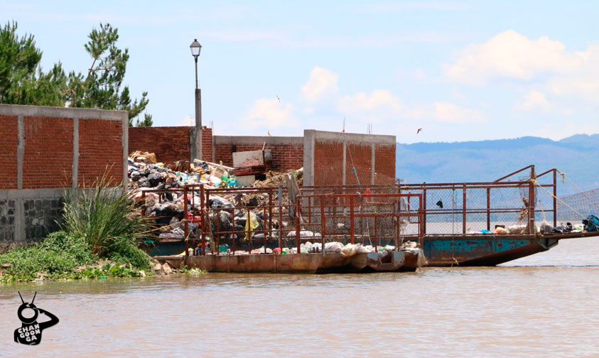 Consecuencias De La Contaminacion Del Lago De Patzcuaro