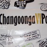 #ChangoongaVIParty