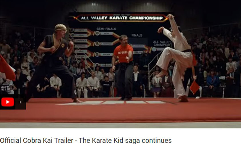 Karate Kid Cobra Kai