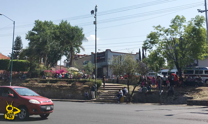 manifestacion Casa de Gobierno 2